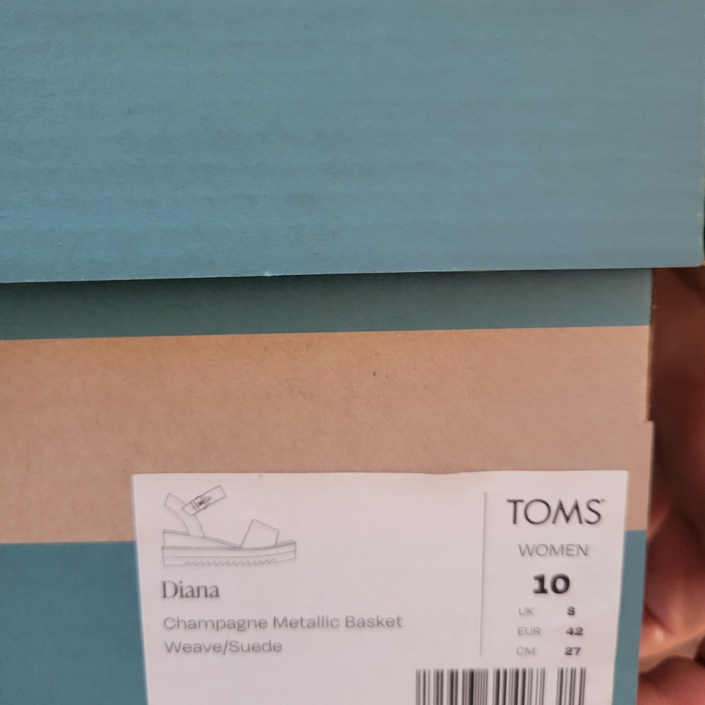 TOMS Champagne Metallic Basket Weave Storage Box
